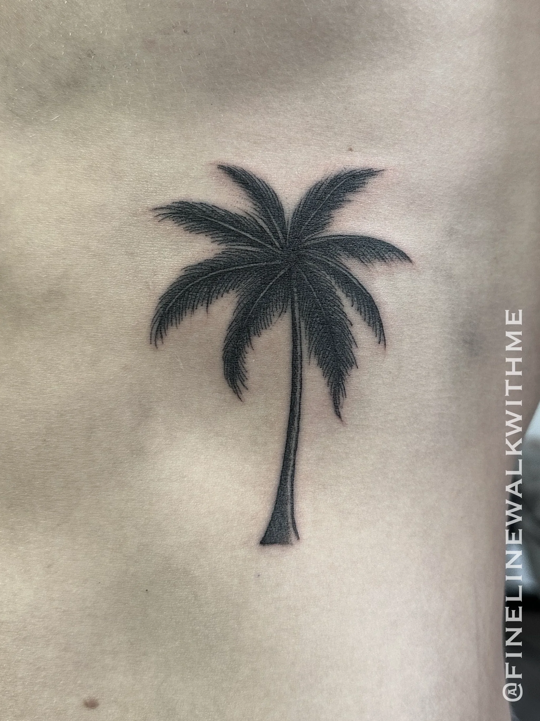 Blackwork palm tree tattoo by FineLineWalkWithMe in Sydney